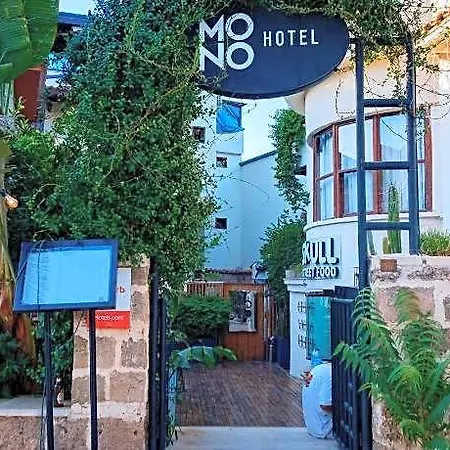Mono
